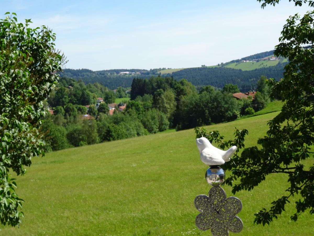Fewo Gabi Neuschönau Exterior foto
